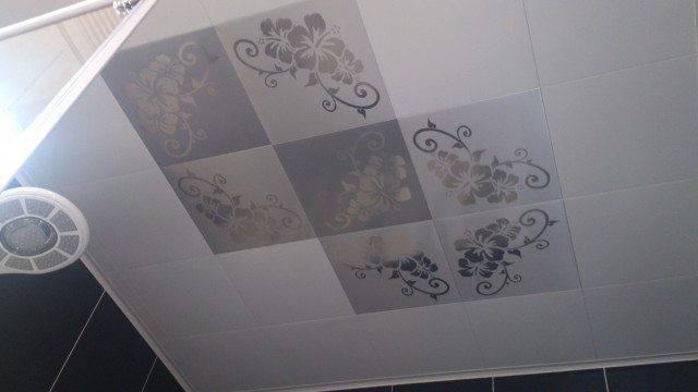 滾塗白配蝴蝶紋-輕鋼架天花板